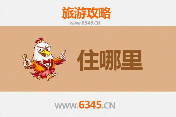 齐齐哈尔泰来旅游住宿全攻略：舒适与经济并存的北国之旅