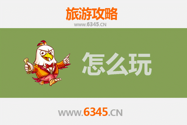 节假日泰来深度游：湿地探秘与文化体验全攻略
